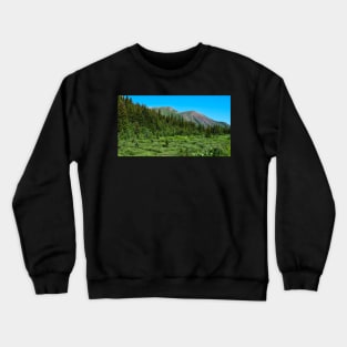 Lush Mountain Meadow. Crewneck Sweatshirt